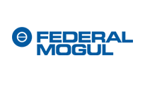 Federal Mogul